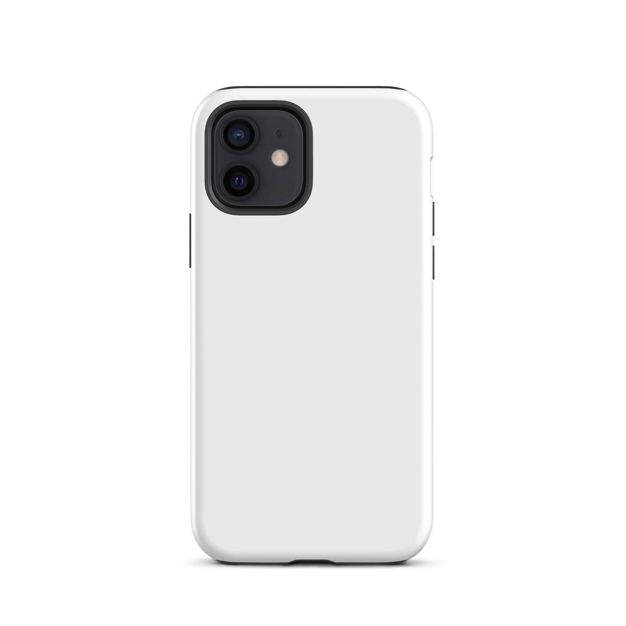 Arctic - iPhone Case - Flay Cases
